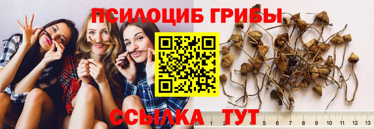 Псилоцибиновые грибы мухоморы Дедовск
